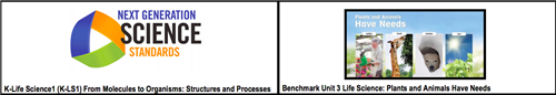 elementary benchmark 